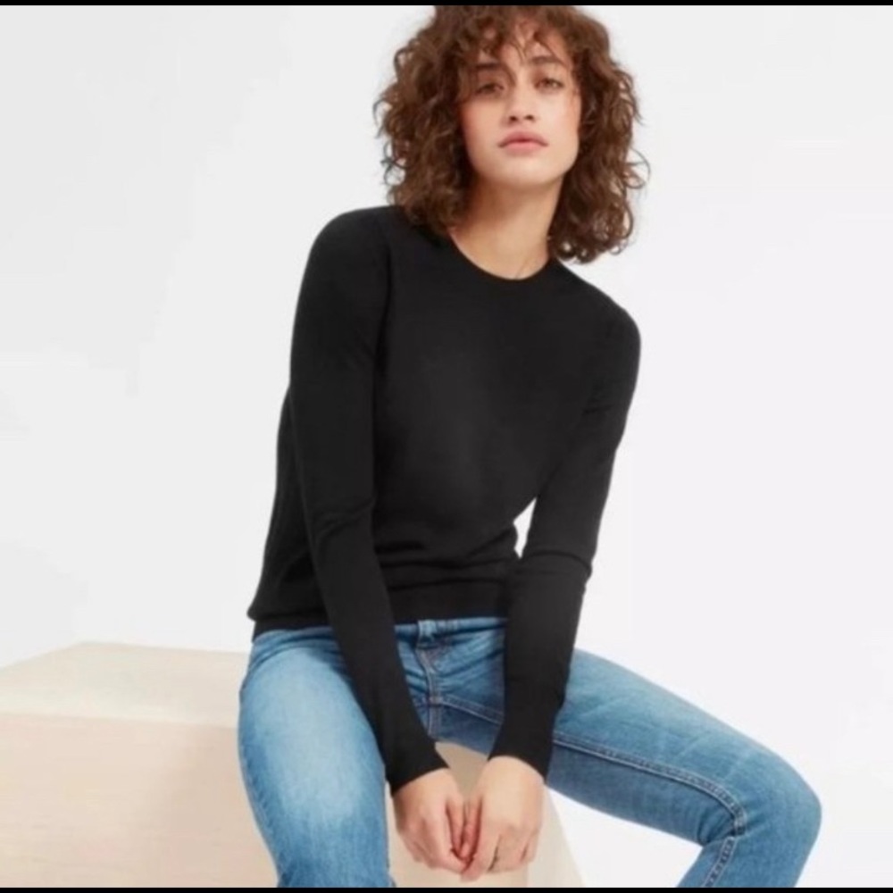 100% Wool Everlane Sweater